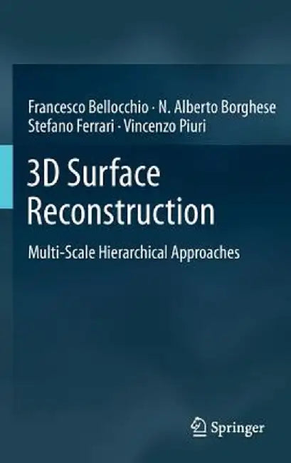 3D Surface Reconstruction: Multi-Scale Hierarchical Approaches by Francesco Bellocchio