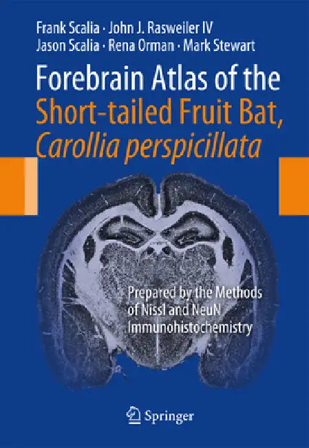 Forebrain Atlas of the Short-Tailed Fruit Bat, Carollia Perspicillata: Prepared by the Methods of Nissl and Neun Immunohistochemistry by Frank Scalia, John J. Rasweiler IV, Jason Scalia