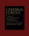Cerebral Cortex: Development and Maturation of Cerebral Cortex by Alan Peters