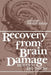 Recovery from Brain Damage: Research and Theory by Stanley Finger