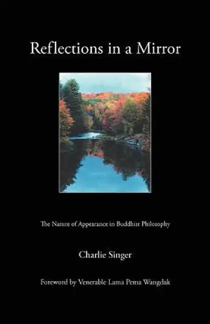 Reflections in a Mirror: The Nature of Appearance in Buddhist Philosophy by Charlie Singer