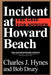 Incident at Howard Beach by Charles J. Hynes
