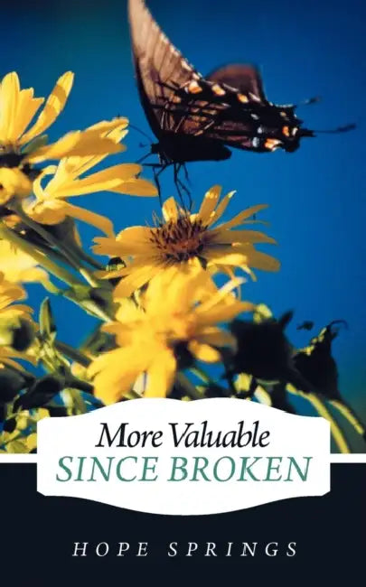 More Valuable Since Broken by Hope Springs