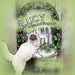 Lucy a Special Ragdoll by Shirley Friend
