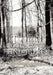 To Help Lost Souls Find Home by Debra Marshall