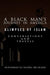 A Black Man's Journey in America: Glimpses of Islam, Conversations and Travels by Muhammad Ali Salaam, Ma Salaam