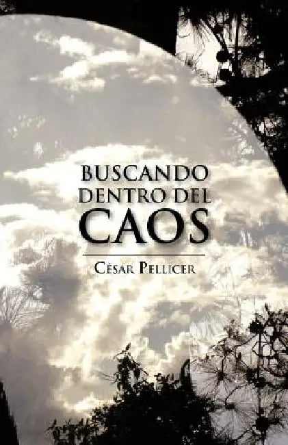 Buscando Dentro del Caos by C. Sar Pellicer, Cesar Pellicer
