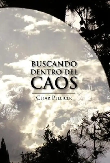 Buscando Dentro del Caos by C. Sar Pellicer, Cesar Pellicer
