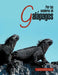Por Los Senderos de Galapagos by Fabian Romero D. Vila, Fabian Romero Davila