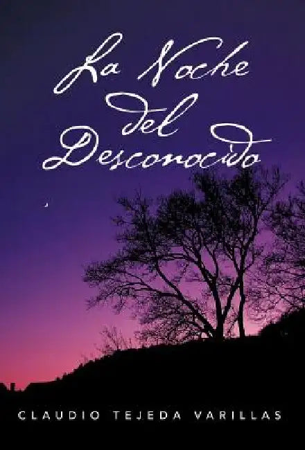 La Noche del Desconocido by Claudio Tejeda Varillas