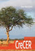 Crecer by Adda Nary Gomez