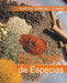 Bazar de Especias by Martha Sanchez Llambi
