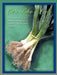 Let's Take a Leek: A book about a Chef, fabulous Soups, and a slightly different sense of humor! by Michael J. Longo Cec