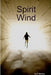 Spirit Wind by D. M. Sanders