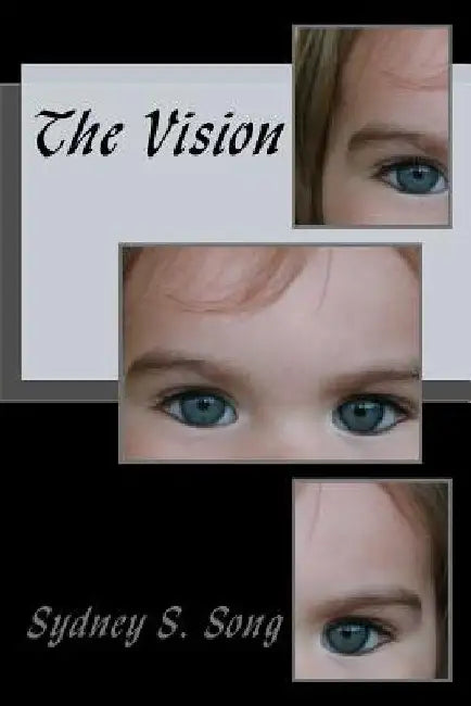 The Vision by Cynthia Meyers-Hanson