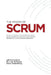 The Power of Scrum by D. M. Van Solingen Phd