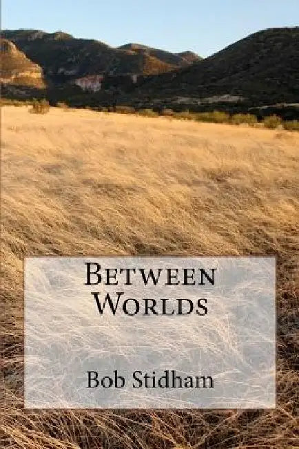 Between Worlds by Bob G. Stidham