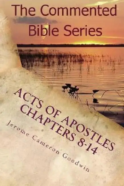 Acts Of Apostles Chapters 8-14: Keep On Bearing Witness To the Truth by Jerome Cameron Goodwin