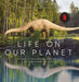 Life on Our Planet: A Stunning Re-Examination of Prehistoric Life on Earth by Tom Fletcher