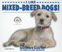 I Like Mixed-Breed Dogs! by Linda Bozzo
