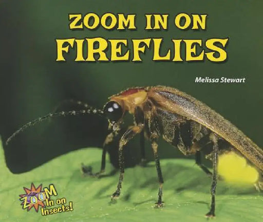 Zoom in on Fireflies by Melissa Stewart