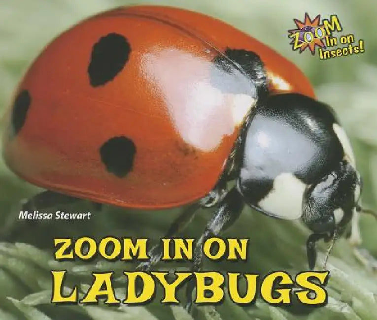 Zoom in on Ladybugs by Melissa Stewart