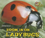 Zoom in on Ladybugs by Melissa Stewart