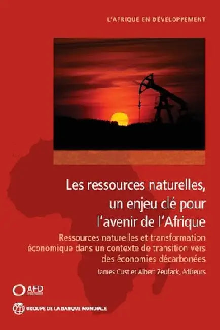 Les ressources naturelles, un enjeu clé pour l'avenir de I'Afrique: Ressources naturelles et transformation économique dans un contexte de transition by James Cust