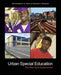 Urban Special Education: The New York Experience by Pip (Author) Dunn