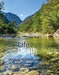 Life/Death: Dipping Our Toes in the Water by Chris Mars