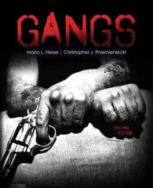 Gangs by Hesse Et Al