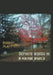 Definite Words in a Maybe World by Robert Platt
