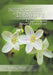 Borderlines of Identity: A Psychologist's Personal Exploration by P. D. Frey