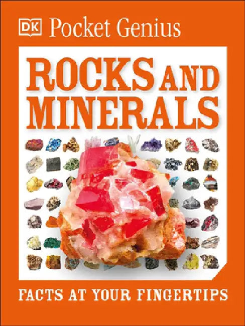 Pocket Genius: Rocks and Minerals by DK