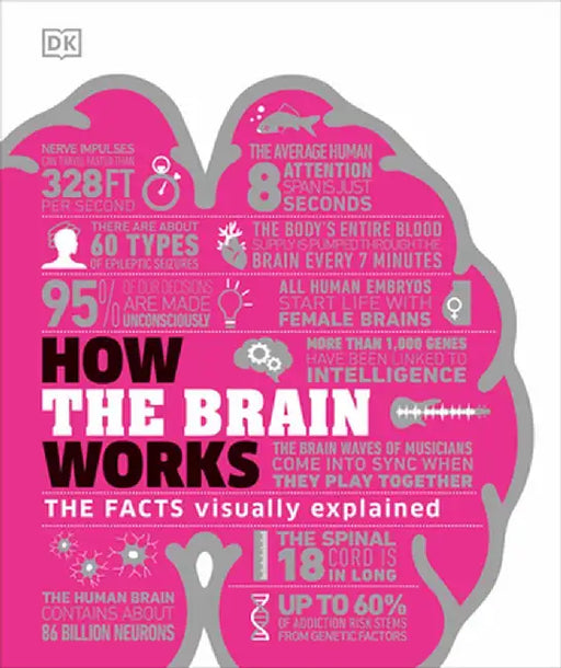 How the Brain Works by DK