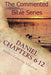 Daniel Chapters 6-12: Insight On Daniel's Prophecies by Jerome Cameron Goodwin