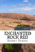Enchanted Rock Red by Robert C. Deming