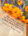 The Holy Qur'an in Today's English: Large Print Edition by Yahiya Emerick