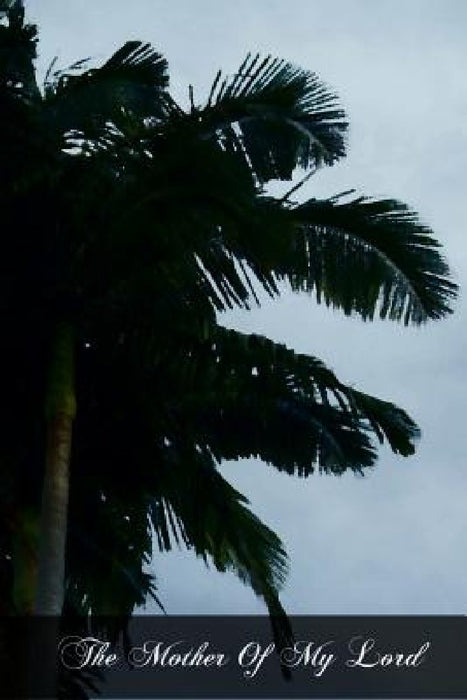 The Mother Of My Lord: Or The Explanation Of The Hail Mary by Rev Ferreol Girardey Cssr