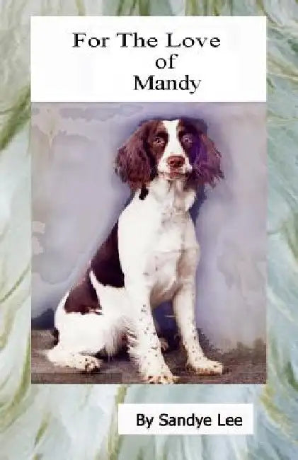 For The Love of Mandy by Sandye Lee