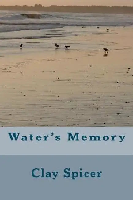 Water's Memory by Clay Spicer