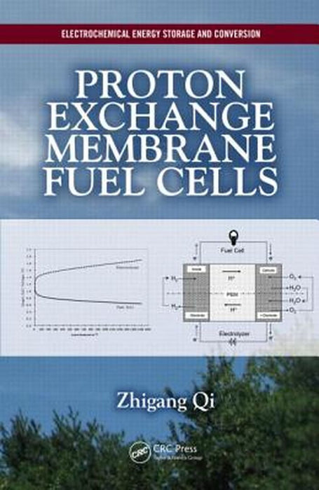 Proton Exchange Membrane Fuel Cells by Zhigang Qi