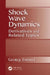 Shock Wave Dynamics: Derivatives and Related Topics by George Emanuel