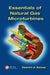 Essentials Of Natural Gas Microturbines by Valentin A. Boicea