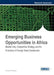 Emerging Business Opportunities in Africa: Market Entry, Competitive Strategy, and the Promotion of Foreign Direct Investments by Christopher O. Gekonge