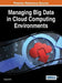 Managing Big Data in Cloud Computing Environments by Zongmin Ma