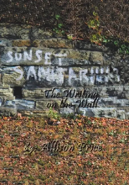 Sunset Sanitarium: The writing on the wall by Allison Price