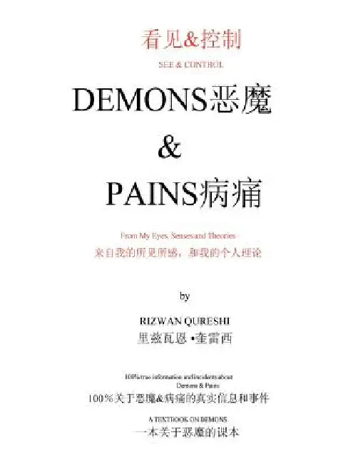 & See&control Demons & Pains: From My Eyes, Senses and Theories by Rizwan Qureshi