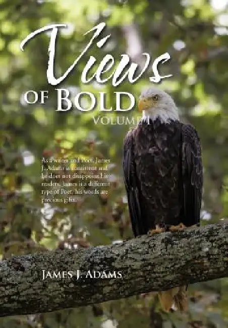Views of Bold: Volume I by James J. Adams
