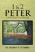 1 & 2 Peter: A Pentecostal Commentary by Matthew O. Sadiku
